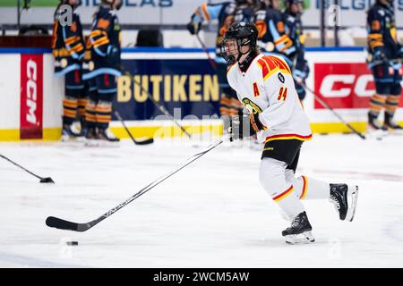 Stockholm, Stockholm, Schweden. Januar 2024. Brynas Anna Meixner während des Spiels in SDHL zwischen Djurgarden IF und HV71 auf Hovet am 16. Januar in Stockholm (Credit Image: © Johan Dali/ZUMA Press Wire) NUR REDAKTIONELLE VERWENDUNG! Nicht für kommerzielle ZWECKE! Stockfoto