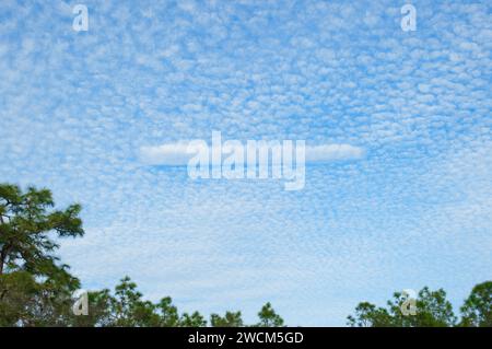 Makrelenhimmel Wolken, die aus Reihen von Cirrocumulus- oder Altocumulus-Wolken bestehen und ein welliges, kräuselndes Muster aufweisen, das dem sca von Fischen ähnelt Stockfoto