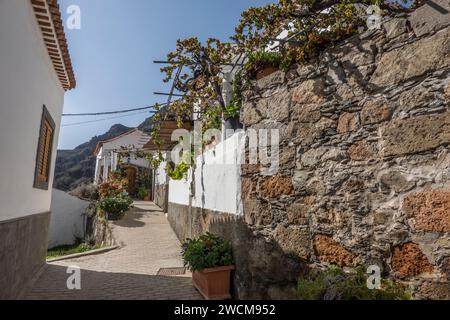 Liebevoll restaurierte Häuser im Vorzeigedorf Fataga, San Bartolomé de Tirajana, Gran Canaria, Spanien Stockfoto