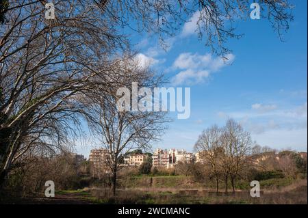 14. Januar 2024 – Rom, Italien: Aniene Valley Park. © Andrea Sabbadini Stockfoto