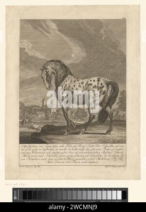 Special Tiger Fout, Martin Elias Ridinger, nach Hugh Douglas Hamilton, 1740–1780 Druck Augsburg Papier Radierpferd Stockfoto