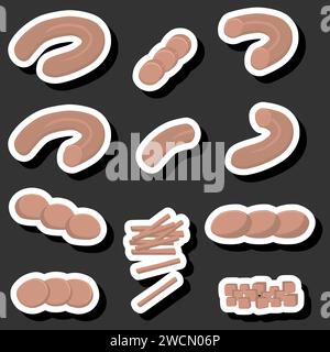 Illustration zum Thema großes Set verschiedene Arten Feinkostwaren Fleischwürste, Feinkostgeschäft bestehend aus Sammlerstück natürlichen leckeren Speisen Fleischwürste, essen Stock Vektor