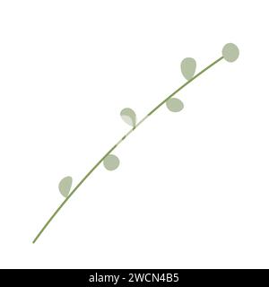 Grüner Zweig mit Blättern auf weißem Hintergrund Stock Vektor