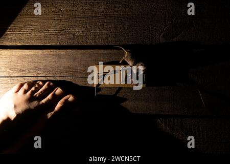 Eine tote Maus in einer Mausefalle auf dem Boden des Hauses und die Barfüße einer Frau stehen in der Nähe, eine Mausefalle und eine Maus, eine Falle Stockfoto