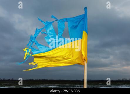 Eine zerrissene Flagge der Ukraine in der Region Charkiw. Stockfoto