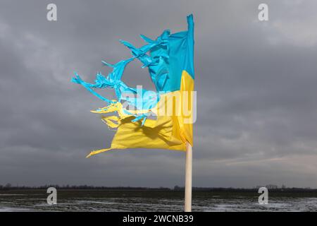 Eine zerrissene Flagge der Ukraine in der Region Charkiw. Stockfoto