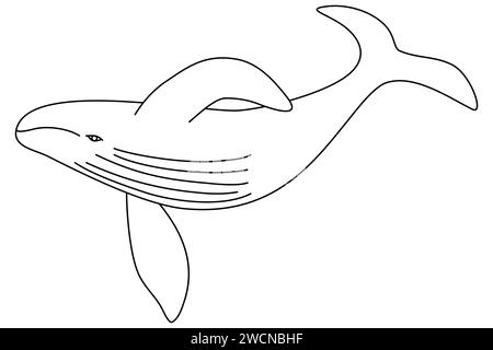 Wal schwimmt unter Wasser, Doodle Stil flache Vektor Umrissillustration für Kinder Malbuch Stock Vektor