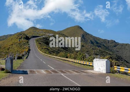 Straße auf dem Plateau von Paul da Serra, ein Rindergitter im Vordergrund, Madeira, Portugal Stockfoto