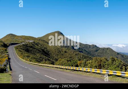 Straße auf dem Plateau Paul da Serra, Madeira, Portugal Stockfoto