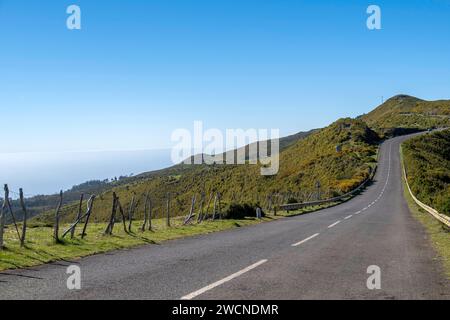 Straße auf dem Plateau Paul da Serra, Madeira, Portugal Stockfoto