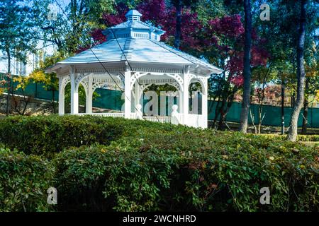 Weißer hölzerner Pavillon in wunderschönem sonnigen Garten aus Laub mit roten Herbstblättern auf Baum im Hintergrund. Im öffentlichen Park im Zentrum von Seoul gelegen Stockfoto