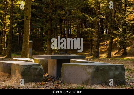 Picknicktisch aus Beton in der Rodung am Rand des bewaldeten Bereichs im öffentlichen Park Stockfoto