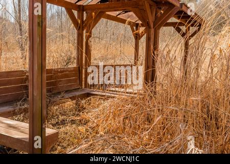 Stillgelegte, überdachte Parkbank aus Holz im Wildnispark in bewachsenem Gras und Unkraut Stockfoto