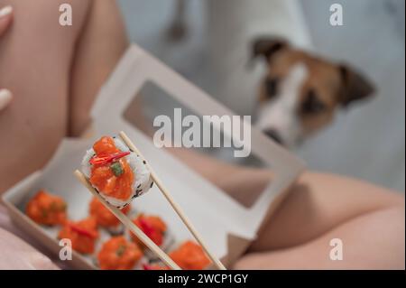 Eine Frau sitzt auf dem Sofa und isst Brötchen. Jack Russell Terrier Hund sitzt auf dem Boden und bittet um Essen von seinem Besitzer. Stockfoto