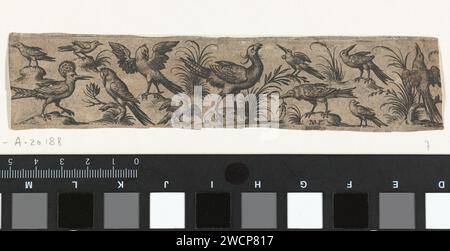 Friese mit zwölf Vögeln, darunter ein Hopfen, Nicolaes de Bruyn, nach Hans Liefrinck (II), nach Hans Collaert (I), 1581–1656 Druck unten links einen Hopfen. Druckhersteller: NetherlandsAfter Druck von: NetherlandsAfter Design by: Southern Netherlands Papierstich Vögel. Andere Vögel: Wiedehopf Stockfoto