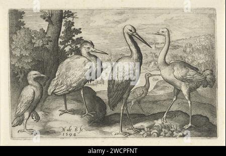 Ooievaar, Kraanvogel, Reiger und Lepelaar, Nicolaes de Bruyn, 1594 Print Antwerpener Papier mit Gravur von Ufer- und Watvögeln: Kran. Ufer- und Watvögel: Störche. Ufervögel und Watvögel: reiher Stockfoto