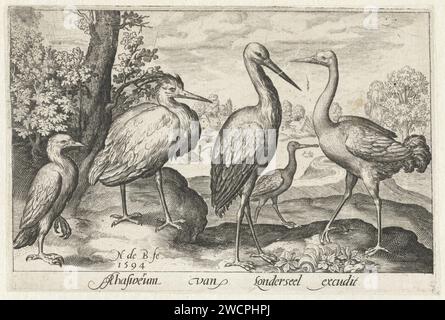 Ooievaar, Kraanvogel, Reiger und Lepelaar, Nicolaes de Bruyn, 1594 Print Antwerpener Papier mit Gravur von Ufer- und Watvögeln: Kran. Ufer- und Watvögel: Störche. Ufervögel und Watvögel: reiher Stockfoto