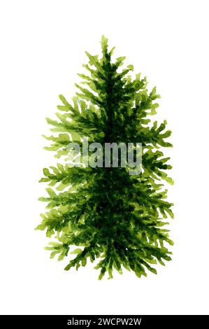 Aquarellillustration einer üppigen grünen Fichte. Waldpflanzenelement aus Tanne oder Kiefer. Weihnachtsbaumobjekt isoliert auf weißem Hintergrund. Evergreen nat Stockfoto