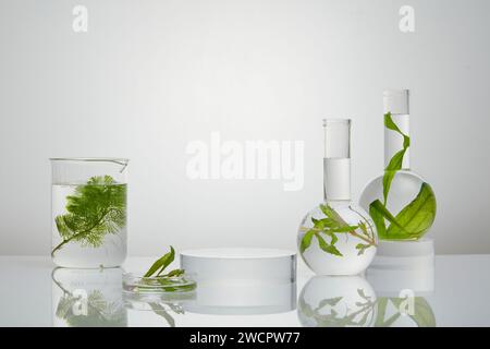 Transparentes Podium in der Mitte mehrerer Laborgläser. Algen sind mit Vitamin E gefüllt, das auch hervorragend für die Feuchtigkeit der Haut geeignet ist. Whit Stockfoto