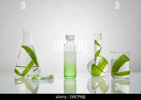 Grüne Algen in mehreren Glaswaren auf weißem Hintergrund mit einer unbeschrifteten Flasche. Algen helfen bei der Bekämpfung von Hautproblemen Stockfoto