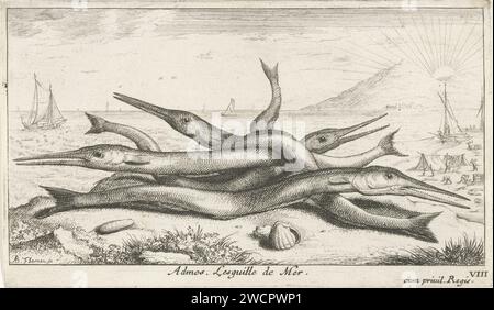 Gepen on the Beach, Albert Flamen, 1664 Printdrucker: Parispublisher: ParisFrance Papier ätzende Fische Stockfoto
