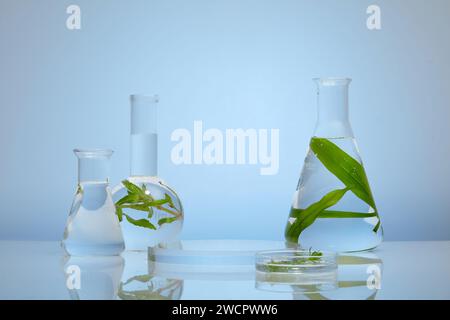 Moderne Komposition mehrerer Laborgläser von Algen und leerem Podium. Algen, die intensive Vitamin-, Mineral- und Nährstoffzufuhr bieten Stockfoto