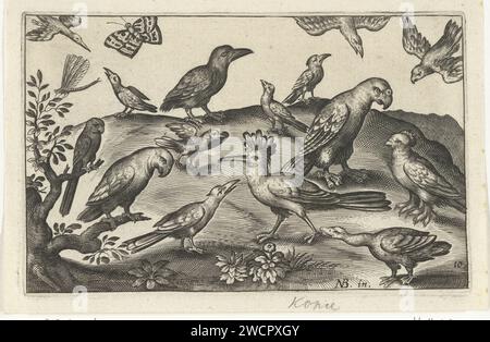 Hopfen und andere Vögel, Anonym, nach Nicolaes de Bruyn, 1594 - 1644 Druck Amsterdam Papier mit Gravur andere Vögel: Wiedehopf. Vögel Stockfoto