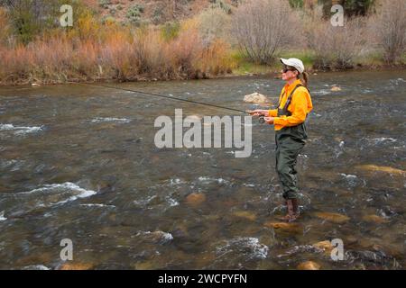 Flyfishing East Fork Carson River, Carson Pass National Scenic Byway, Kalifornien Stockfoto