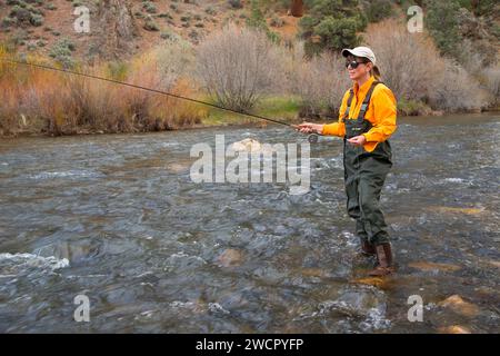 Flyfishing East Fork Carson River, Carson Pass National Scenic Byway, Kalifornien Stockfoto