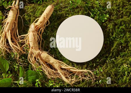 Ein weißes Podium in runder Form auf dem grünen Gras mit Ginsengwurzeln. Podest oder Plattform für die Werbung von Ginseng (Panax Ginse Stockfoto