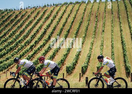 Adelaide, Australien. Januar 2024. Foto von Zac Williams/SWpix.com - 17/01/2024 - Radfahren - 2024 Tour Down Under - Stage 2: Norwood nach Lobethal (141 km) - Team Australia. Quelle: SWpix/Alamy Live News Stockfoto