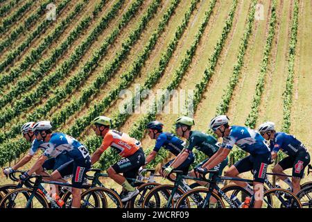 Adelaide, Australien. Januar 2024. Foto von Zac Williams/SWpix.com - 17/01/2024 - Radfahren - 2024 Tour Down Under - Stage 2: Norwood nach Lobethal (141 km) - Sam Welsford, Bora Hansgrohe. Quelle: SWpix/Alamy Live News Stockfoto