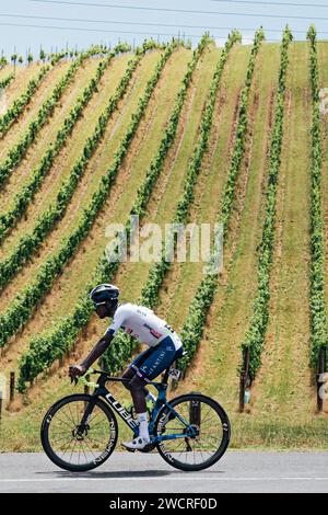 Adelaide, Australien. Januar 2024. Bild von Zac Williams/SWpix.com - 17/01/2024 - Radfahren - 2024 Tour Down Under - Stufe 2: Norwood nach Lobethal (141 km) - Biniam Girmaye, Intermarche Wanty. Quelle: SWpix/Alamy Live News Stockfoto