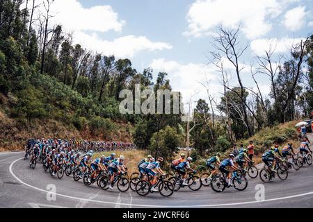 Adelaide, Australien. Januar 2024. Bild von Zac Williams/SWpix.com - 17/01/2024 - Radfahren - 2024 Tour Down Under - Stage 2: Norwood nach Lobethal (141 km) - das Feld während Stage 2. Quelle: SWpix/Alamy Live News Stockfoto