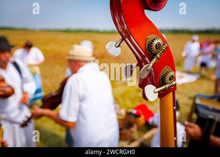 Nahaufnahme eines Teils von Schmuggelware, Headstock mit Stimmtasten. Der Musiker spielt Doppelbass für Glück und Erfolg, bevor die Bauern betteln Stockfoto