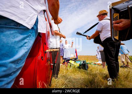 Nahaufnahme im unteren Teil des Kontrabasses. Der Kontrabassist spielt Kontrabass für Glück und Erfolg, bevor die Bauern beginnen, Getreidemanua zu ernten Stockfoto