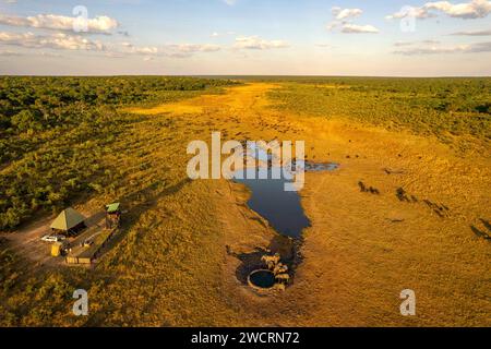 Eine Herde afrikanischer Elefanten, Loxodonta africana, wird in einem Wasserloch im Chamabonda Vlei, Zambezi-Nationalpark, gesehen. Stockfoto