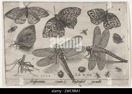Schmetterlinge und Libellen, Nicolaes de Bruyn, 1594 Druck Antwerpener Papier Gravur Insekten: Schmetterling. Insekten: drachenfliege. Insekten: Marienkäfer Stockfoto