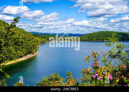 Blick auf das Biggesee bei Attendorn im Stadtteil Olpe mit der umliegenden Natur. Landschaft am See im Sauerland. Bigge Dam. Stockfoto