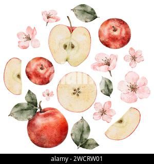 Aquarellblühende Äpfel, rundes Etikett mit grünen und roten Reifen Äpfeln. Handgezeichnete Apfelscheiben Illustration für Saftpackung, Karte, Einladung Stockfoto