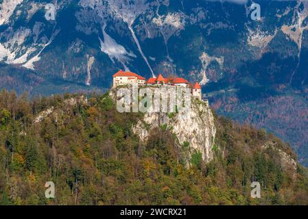 Ein majestätisches Schloss steht stolz auf einem üppigen, baumbewachsenen Hügel inmitten einer atemberaubenden Berglandschaft in Bled, Slowenien, Stockfoto