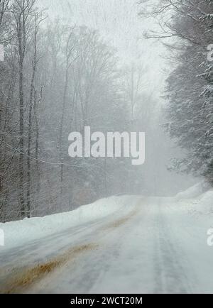 Eine Straße durch den Allegheny National Forest in Pennsylvania, USA Stockfoto