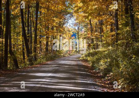 Eine Straße durch den Allegheny National Forest in Pennsylvania, USA Stockfoto