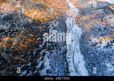 Ein Luftbild fängt die kontrastreiche Schönheit eines schneebedeckten Waldes mit Herbstbäumen in der Nähe von Guadalajara, Spanien, ein und zeigt die saisonale Tradition Stockfoto