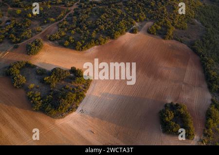 Aus der Vogelperspektive des sanften Abendlichts, das Schatten auf die gepflügten Felder und Bäume in Alcarria wirft Stockfoto