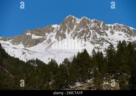 Schnee bedeckt die zerklüfteten Gipfel eines Berges, der über einem dichten Nadelwald unter einem klaren blauen Himmel thront Stockfoto