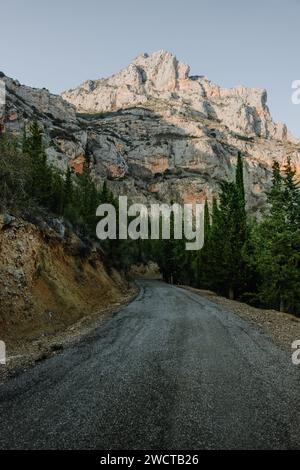 Eine ruhige Schotterstraße schlängelt sich durch ein bewaldetes Gebiet, die zu einem majestätischen Berggipfel führt Stockfoto