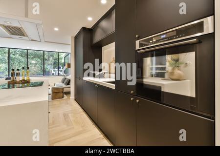 Dieses Bild zeigt eine elegante, moderne Küche mit hochwertigen Geräten, dunklen Schränken und einem Blick auf einen gemütlichen Wohnbereich durch große Fenster. Stockfoto