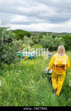 Rückansicht einer unerkennbaren Frau in Brille und im imkergelben Schutzanzug mit Schubkarre im grünen Bienenhaus Stockfoto