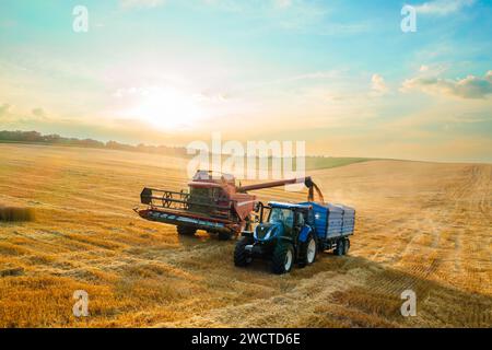 Die Erntemaschine lädt Weizenkörner in den Traktoranhänger auf der staubigen Plantage aus der Vogelperspektive. Mähdrescher-Reaper entlädt das gesammelte Getreidegut bei Sonnenuntergang Stockfoto
